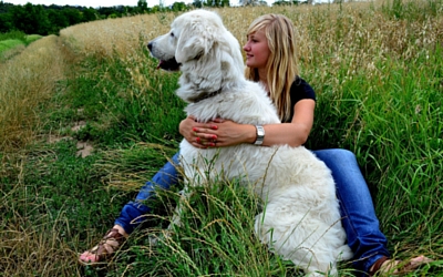 Woman sitting in the grass hugging her large dog