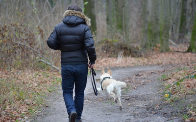 Owner and dog on a jog
