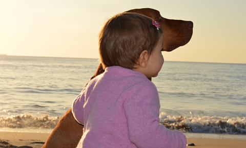 Child and her dog